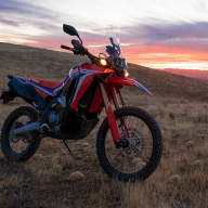 HONDA CRF300 RALLY - HONDA CRF300 RALLY