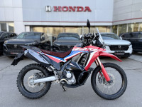 Honda CRF250 Rally